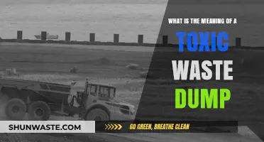 Understanding Toxic Waste Dumps: Environmental Hazards and Their Impact