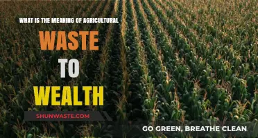 Transforming Agricultural Waste into Wealth: Sustainable Solutions for Farmers