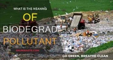 Understanding Biodegradable Pollutants: Nature's Friend or Foe?