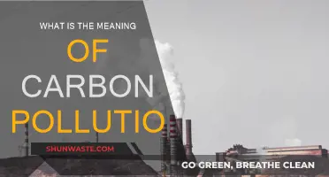 Carbon Pollution: Understanding Its Impact and Consequences