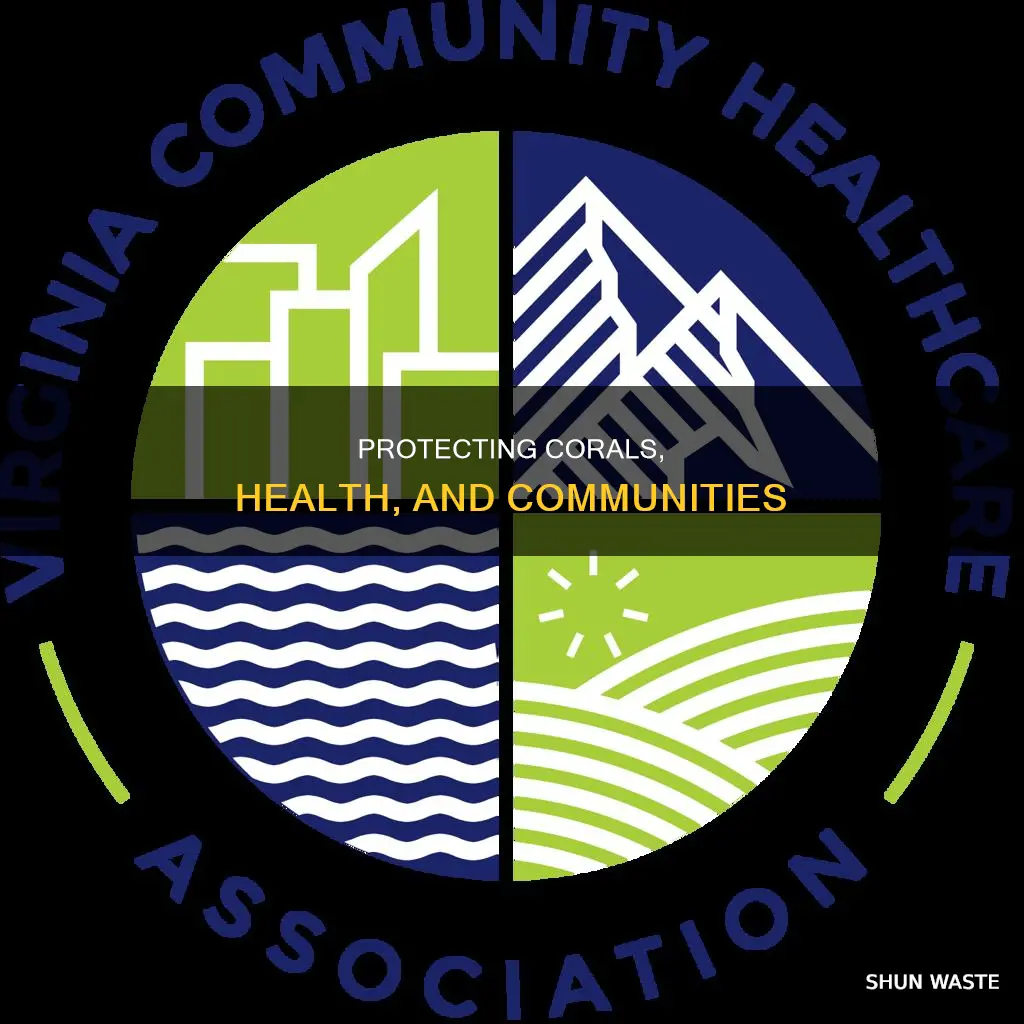 what is the meaning of community health advocate corals pollution