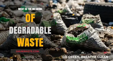 Understanding Degradable Waste: Definition, Importance, and Environmental Impact