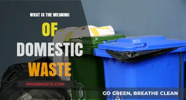Understanding Domestic Waste: Definition, Types, and Proper Disposal Methods