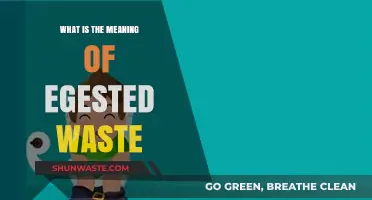 Understanding Egestion: The Meaning and Process of Egested Waste Explained