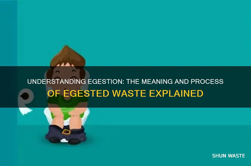 what is the meaning of egested waste