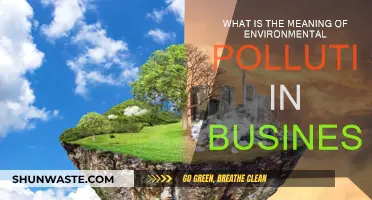 Business and Environmental Pollution: Understanding the Impact