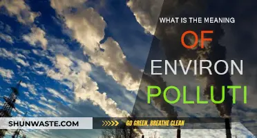 Understanding Environmental Pollution: Definition and Impact