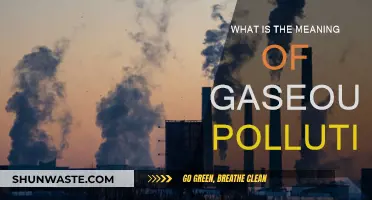 Understanding Gaseous Pollution: Its Meaning and Impact