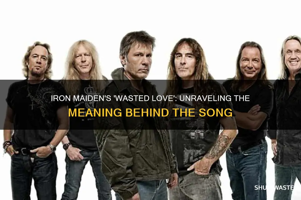 what is the meaning of iron maiden wasted love