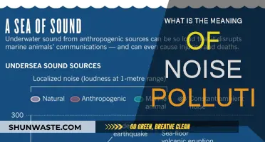 Understanding Noise Pollution: Its Meaning and Impact