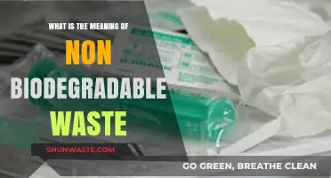 Understanding Non-Biodegradable Waste: Definition, Impact, and Management Solutions