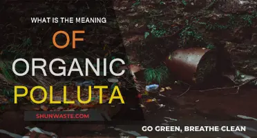 Organic Pollutants: Harmful Toxins in Our Environment