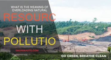 Pollution's Impact: Overloading Our Natural Resources