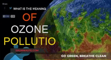 Ozone Pollution: Understanding the Toxic Air We Breathe