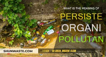 Persistent Organic Pollutants: Understanding Their Lasting Impact