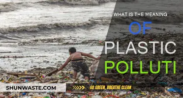 Plastic Pollution: Understanding the Global Crisis