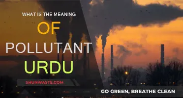 Understanding Pollutants: Urdu Translation and Explanation
