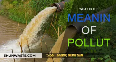 Understanding Pollution: What Does It Mean to Be Polluted?