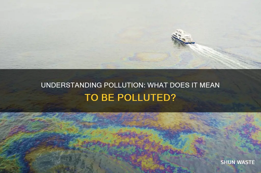 what is the meaning of polluted