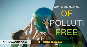 Pollution-Free: A Sustainable Future for All