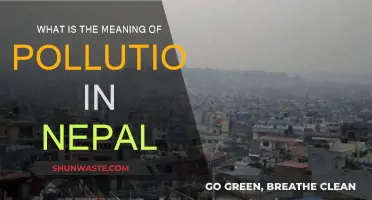Nepal's Pollution Crisis: Understanding the Meaning
