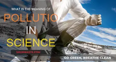 Science of Pollution: Understanding Environmental Contamination