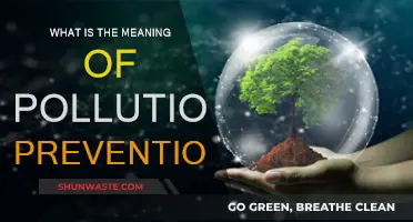 Preventing Pollution: Understanding the Core Principles