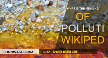 Understanding Pollution: Definition, Types, and Impact