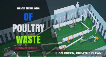 Understanding Poultry Waste: Definition, Impact, and Sustainable Management Practices