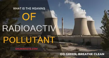 Radioactive Pollutants: Understanding Their Harmful Nature