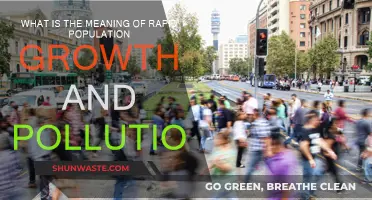 Population Boom and Pollution: A Dangerous Duo
