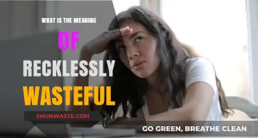 Understanding the True Meaning of Recklessly Wasteful Behavior