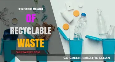 Understanding Recyclable Waste: Definition, Importance, and Sustainable Practices
