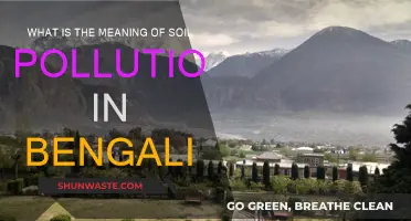 Soil Pollution: Understanding the Bengali Context