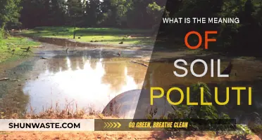 Soil Pollution: Understanding the Contamination Crisis
