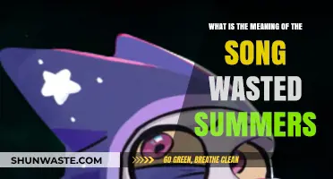 Wasted Summers: Decoding the Melancholy Meaning Behind the Lyrics