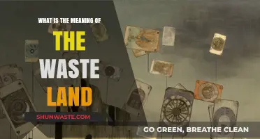 Unraveling the Meaning of T.S. Eliot's The Waste Land