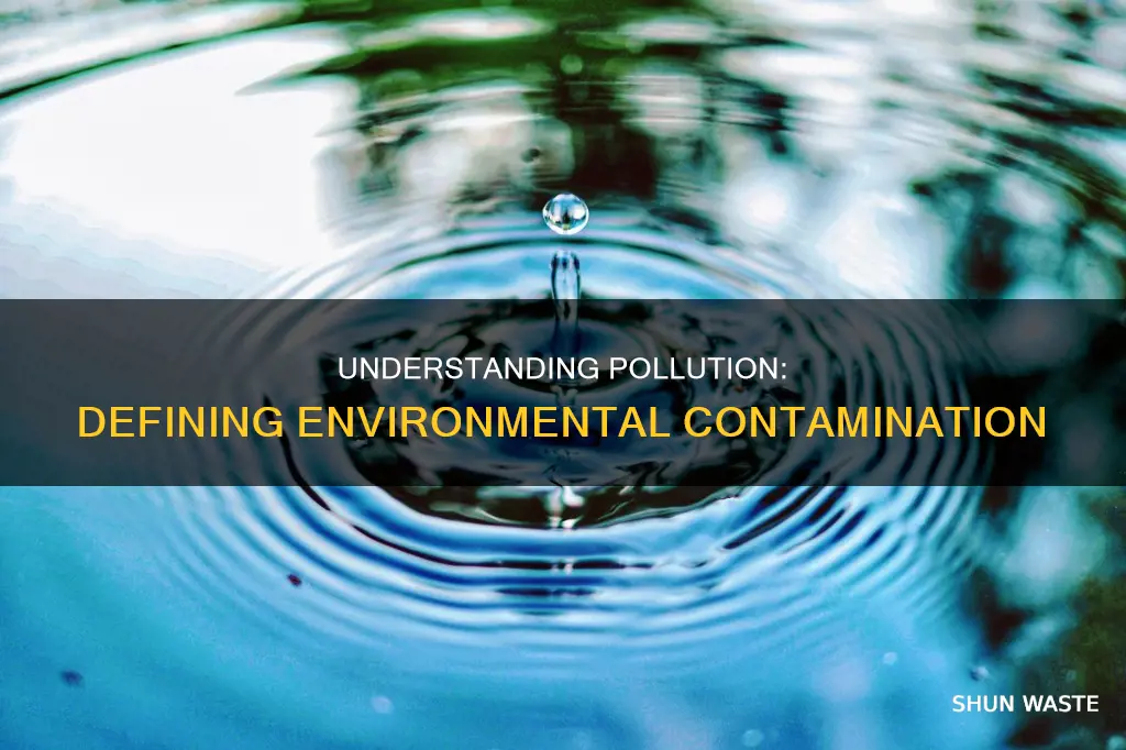what is the meaning of the word pollution