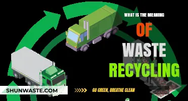 Understanding Waste Recycling: Benefits, Process, and Environmental Impact Explained
