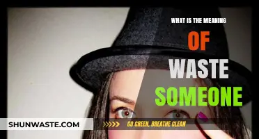 Understanding the Idiom: What Does 'Waste Someone' Really Mean?