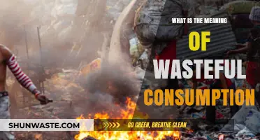 Understanding Wasteful Consumption: Causes, Impacts, and Sustainable Solutions