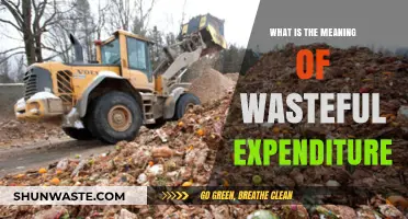 Understanding Wasteful Expenditure: Causes, Consequences, and Prevention Strategies