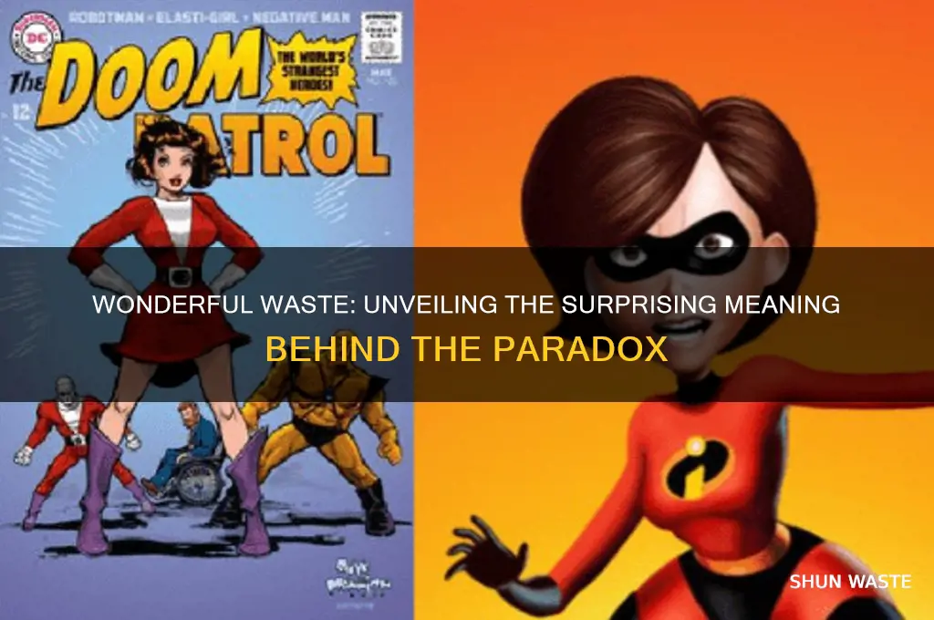 what is the meaning of wonderful waste