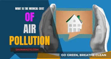 Air Pollution's Health Cost: A Global Crisis