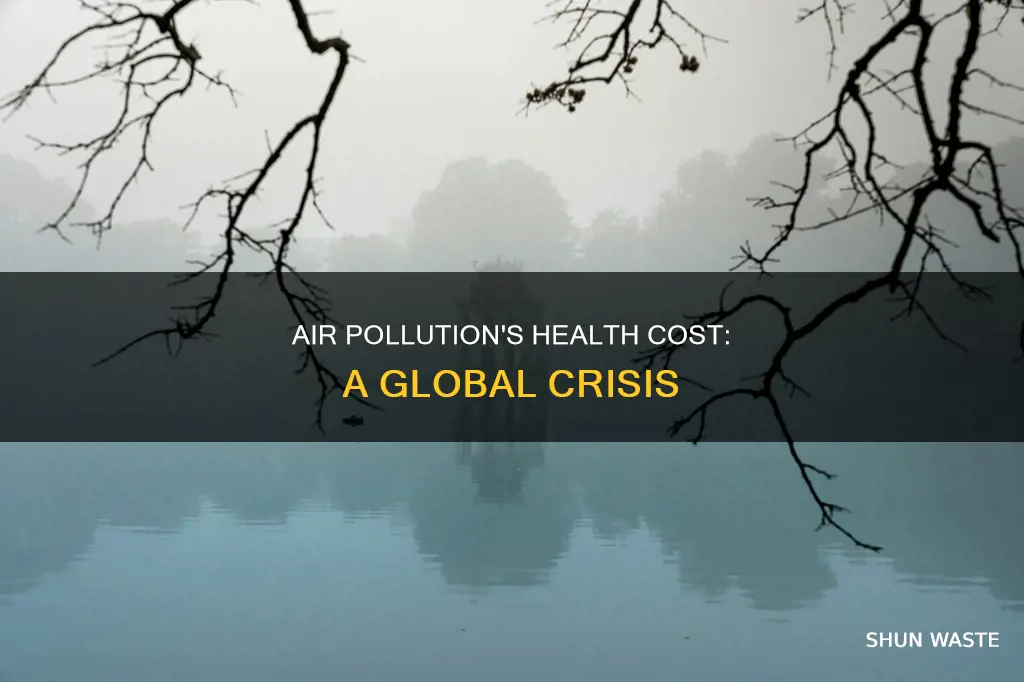 what is the medical cost of air pollution