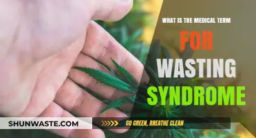 Understanding Wasting Syndrome: Medical Terminology and Clinical Implications Explained