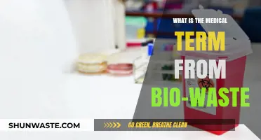 Understanding Bio-Waste: The Medical Terminology Behind Biological Waste Disposal