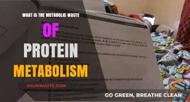 Understanding Protein Metabolism: Metabolic Waste and Its Impact on Health