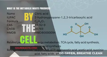 Understanding Metabolic Waste: Cellular Byproducts and Their Biological Significance