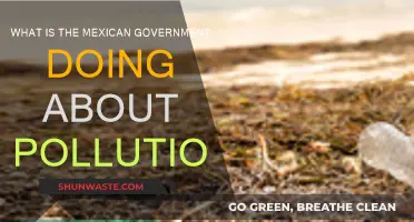 Mexico's Anti-Pollution Efforts: Government Initiatives and Impact